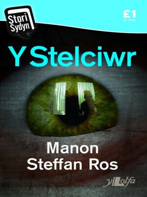 cover image of Stori Sydyn